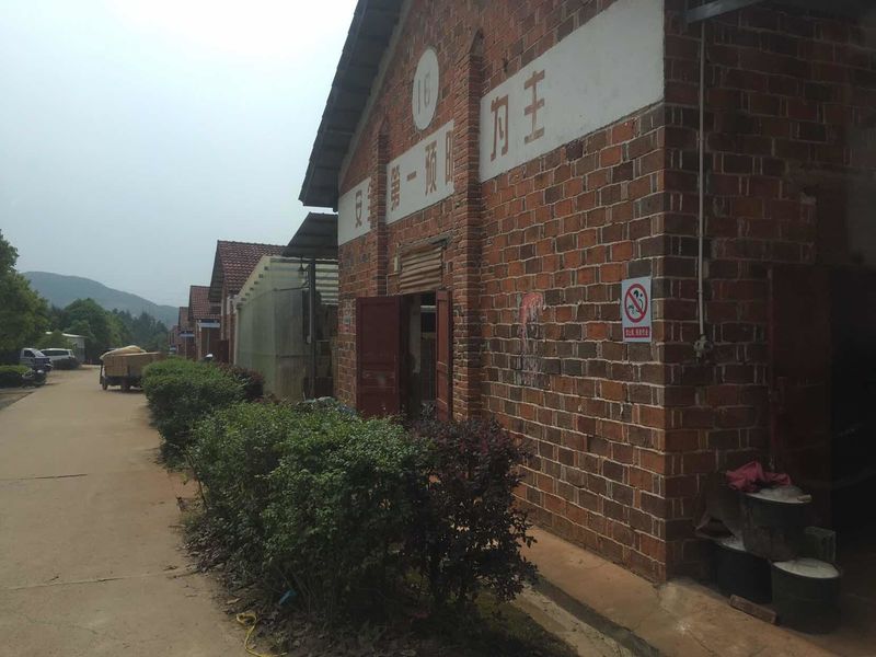 China Liuyang Mandarin Fireworks Co., Ltd. Perfil da companhia