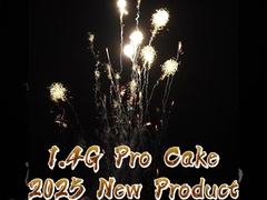 Chineses 210 tiros 1000g bolo FIreworks US 1.4 Pro Fogos de artifício personalizados ao ar livre