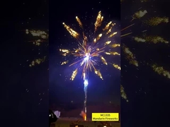 100 tiros Fábrica de fogos de artifício de bolo ao ar livre