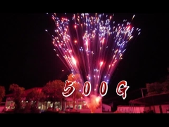 Fogos de artifício pirotecnia fábrica chinesa 1,2 polegadas 24 tiros bolo fogos de artifício para a celebração