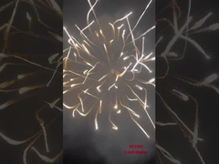 Display Profissional Fogos de artifício Mortar Artilharia Concha Produtos pirotecnicos Conchas de 6 polegadas