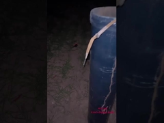 Fogos de artifício profissionais chineses para a celebração do Ano Novo