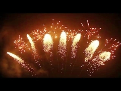 Pirotecnia dos fogos de artifício do mandarino 65 fogos de artifício em forma de leque dos tiros