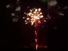 Os fogos de artifício da pirotecnia de Liuyang 196 dos fogos de artifício profissionais do bolo dos tiros efeitos especiais mostram