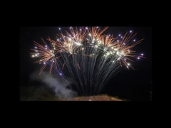 Pirotecnia do mandarino 1.3g 13 fogos de artifício profissionais da fileira dos tiros únicos