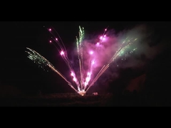 Fogos de artifício chineses ao ar livre 300 tiros Fogos de artifício profissionais Display 1,3 g em forma de ventilador