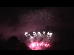 Liuyang 56 Tiros Fogos de Artifício Profissional Display 1.3g Un0335 Para a celebração do festival