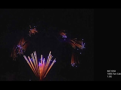 CE 100 150 300 500 600 1000 Tiros Fogos de artifício de bolo profissional Personalizável