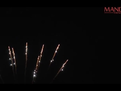11s Forma Z Display de fogos de artifício profissional 11 tiros Pirotécnica personalizada