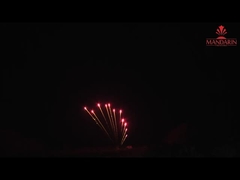 Display de fogos de artifício profissional em forma de Z 11 tiros