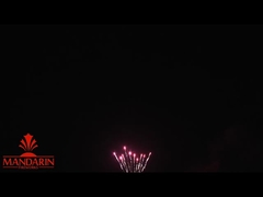 1.3g Un0335 Espetáculo de Fogos de Artifício Profissional / 100 Tiros Fogos de Artifício de Bolo para Ano Novo