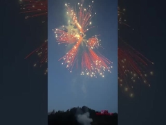 Liuyang Silver Ponytail Fireworks Cakes 2024 Fábrica Chinesa Fogos de Artifício e Fogos de Artifício Cakes de Consumo