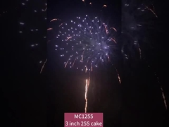 Chineses 25 tiros bolo fogo de artifício pirotecnia para reuniões de celebração