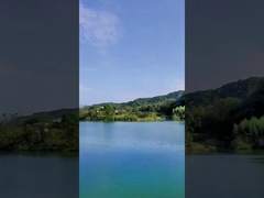 O dia 49 fogos de artifício chineses do bolo dos tiros coloriu fogos de artifício do fumo para a celebração