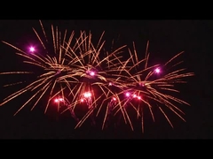 Outdoor 20 Shots Celebração bolo pirotecnia Ventilador em forma personalizado 1.4g