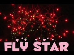 Fogos de artifício de bolo de consumo chinês personalizados 25 tiros 500G pirotecnia