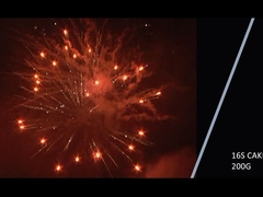 Mandarim 2021 Novo 16 Tiros 200g Bolo Fogos de Artifício Para Festa