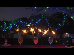 Lâmpadas de neon de 15 cm, com efeito de lâmpadas douradas.