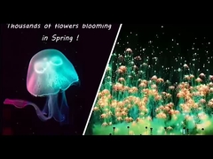 Fogos de artifício de Ano Novo Medusas Novidades de consumo Fogos de artifício Skyshots Pirotécnica