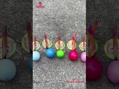 Fábrica Chinesa Crianças Fogos de Artifício Liuyang Swan Colocando Ovos Fogos de Artifício Novidade Fantasia Foguete Foguete Para Ch