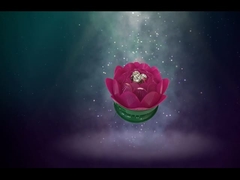 Belas fogueiras de lótus / brinquedos de aniversário