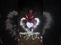 Festival Toy Fireworks Magic Butterfly Fireworks exterior 1.4G 0336 para a celebração
