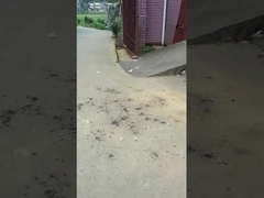 Bolas mágicas Fogos de artifício brinquedo 0.03CBM Proteção do ambiente Para reuniões de celebração