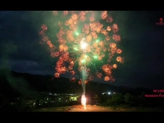 Mandarim Fogos de artifício 1.3g Un0335 Fogos de artifício de exposição profissional bolo Fogos de artifício ao ar livre