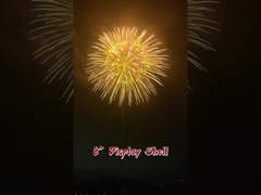 Festivais e Celebrações 2