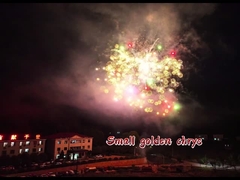 Fogos de artifício de chegada