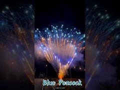 Fábrica 0,8 polegadas 300 tiros 1,3g Fogos de artifício profissionais Bolo de fogos de artifício Exibição de fogos de artifício Pirotecnia Saudação