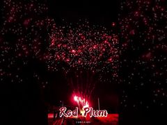 Fogos de Artifício Liuyang 56 Tiros Saudação Baterias de Bolo ao Ar Livre Fogos de Artifício de Ameixa Vermelha Pirotecnia