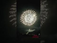1.3G Fogos de Artifício Profissionais para Exibição de Ano Novo 2