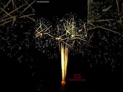 Eventos de exibição de fogos de artifício para bolo de festival de 100 tiros, pirotecnia profissional ao ar livre, fogos de artifício 1.3G