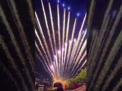 Fábrica Chinesa de Fogos de Artifício Personalizáveis 1.3G Fogos de Artifício Profissionais Bolo Festival de Natal Casamento