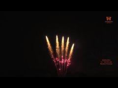 Liuyang 1.3g Un0335 Fogos de artifício pirotécnicos 1,2 polegadas 25 tiros Display profissional Bolo de fogos de artifício