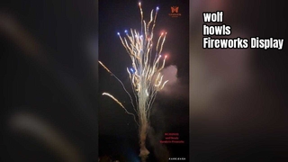 Fábrica chinesa personalizada 100 tiros de bolo uivo de lobo fogos de artifício pirotecnia no atacado