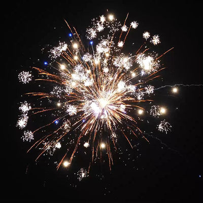 Wholesale Outdoor Pyro 1000G Cake Fireworks 2 Inch 56 Shots Wedding Celebration 1.4 Pro Fireworks