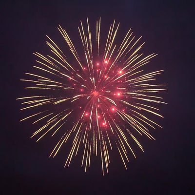 Mandarin Fireworks 2025 Chinese Factory Liuyang Pyrotechnics Display Shells Fireworks 8 Inch 1.3G Professional Shell Fireworks