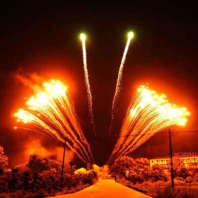 Liuyang Factory 1.3G Professional 12 Shots Single Row Fireworks Display Chinese Wholesale Festival New Fireworks Pyrotechnics