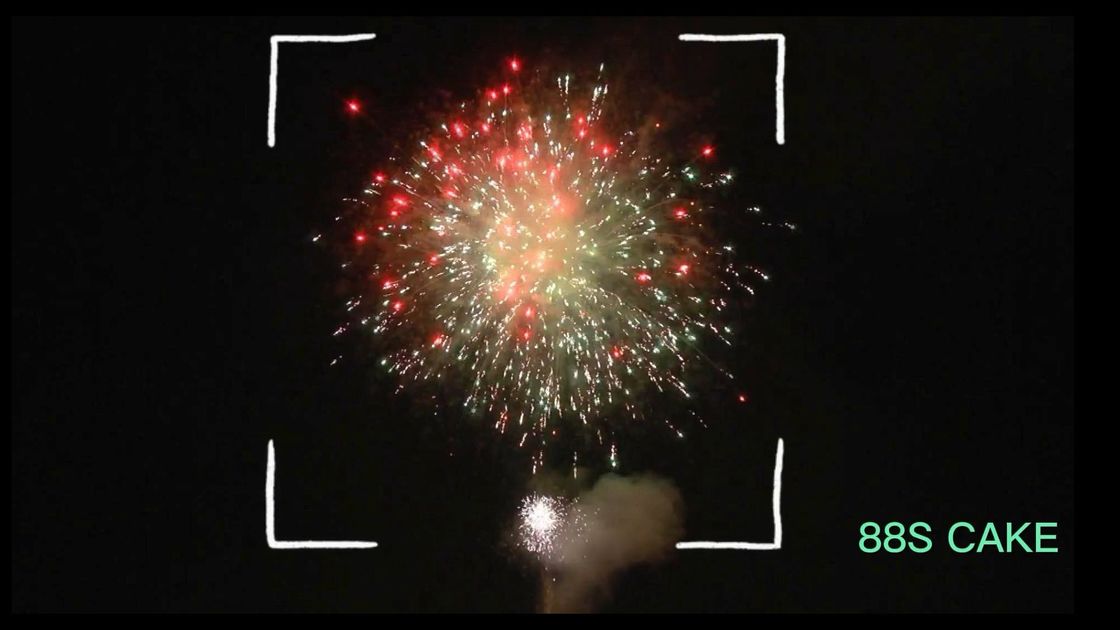 Mandarin Customized New Year Fireworks Petard 88 Shots Pyrotechnic Chinese Salute
