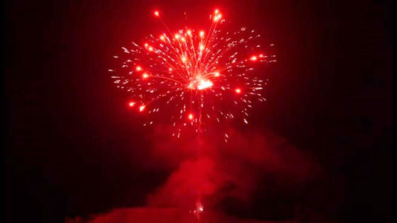 Dos fogos de artifício feitos sob encomenda do bolo de Liuyang tiros 500G 24 pirotécnicos exteriores chineses