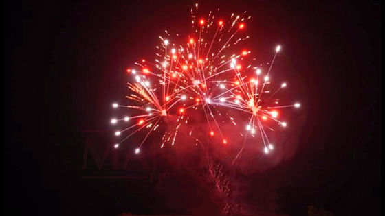 Liuyang 20 tiros 500g personalizou fogos de artifício do bolo pelo ano novo