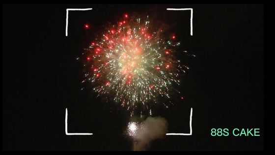 O mandarino personalizou a saudação chinesa pirotécnica dos tiros do Petard 88 dos fogos de artifício do ano novo