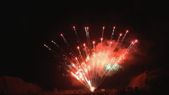 A pirotecnia chinesa personalizada indica o tiro profissional dos fogos de artifício 1.3g 100 do bolo