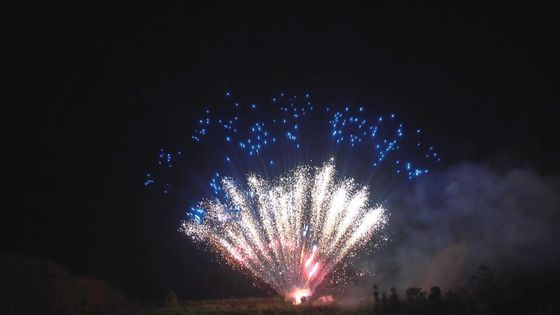 Fogos de artifício profissionais do bolo de Liuyang da pirotecnia do mandarino 100 tiros