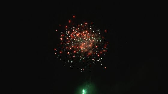 Dos fogos de artifício profissionais exteriores do bolo do festival do Natal tiros customizáveis 49