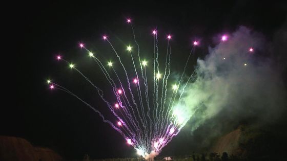 Profissional exterior dos fogos de artifício do bolo do festival do Natal dos tiros do mandarino 100