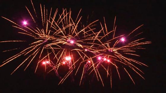 Pirotecnia exterior 1.4g personalizado em forma de leque do bolo da celebração de 20 tiros