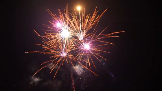 21 fogos de artifício exteriores pirotécnicos do bolo dos bons efeitos dos tiros para a celebração